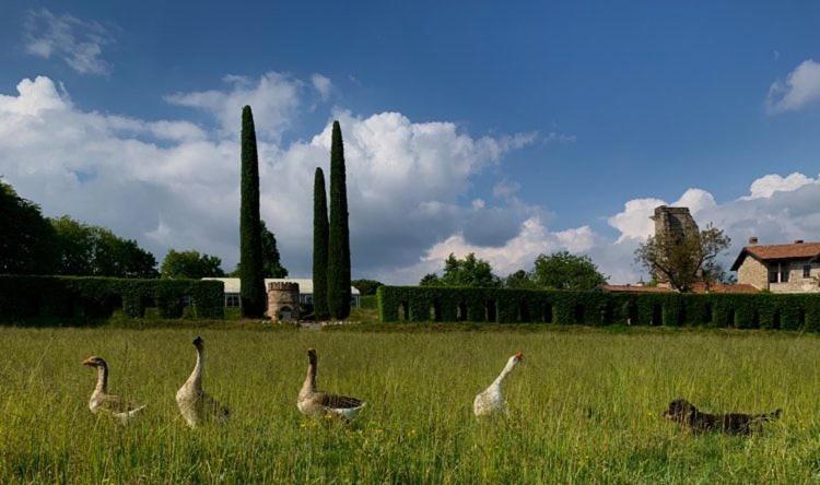 Bed and breakfast Castello Di Cernusco Lombardone Extérieur photo